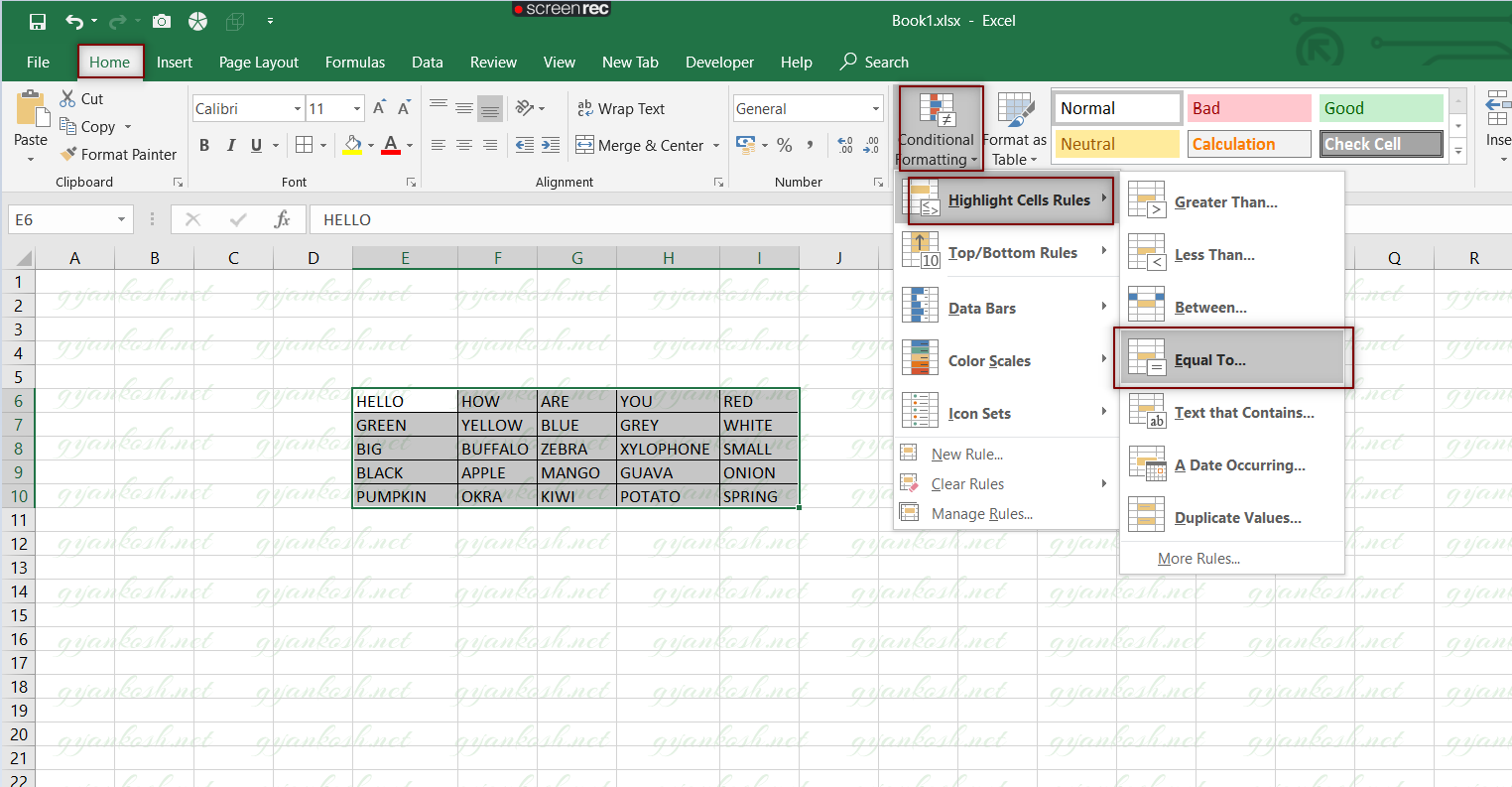 EQUAL TO OPTION TO USE CONDITIONAL FORMATTING BASED ON TEXT IN EXCEL