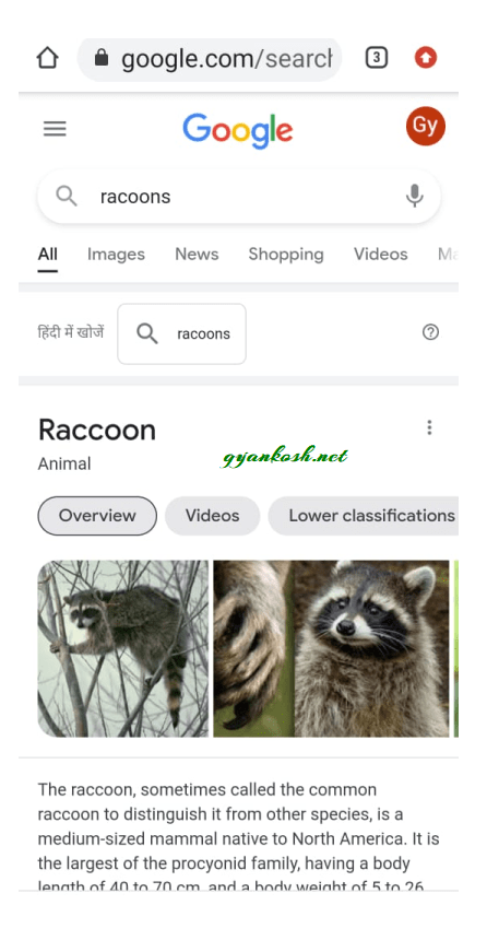 search tiger google 3d animals